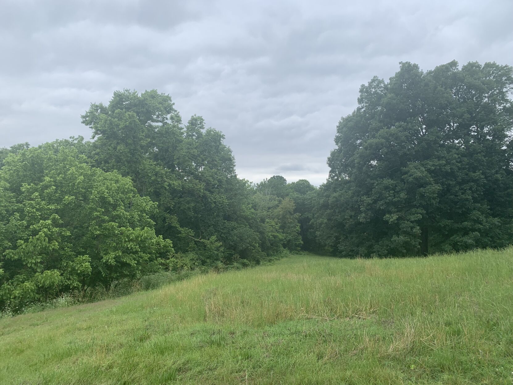 Beargrass Preserve